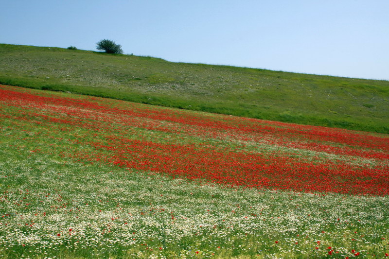 in alta quota nei miei Sibillini